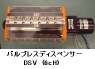 dsv6_1.jpg